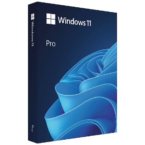 [마이크로소프트] Windows 11 Pro 처음사용자용 패키지(FPP) [한글/USB타입]